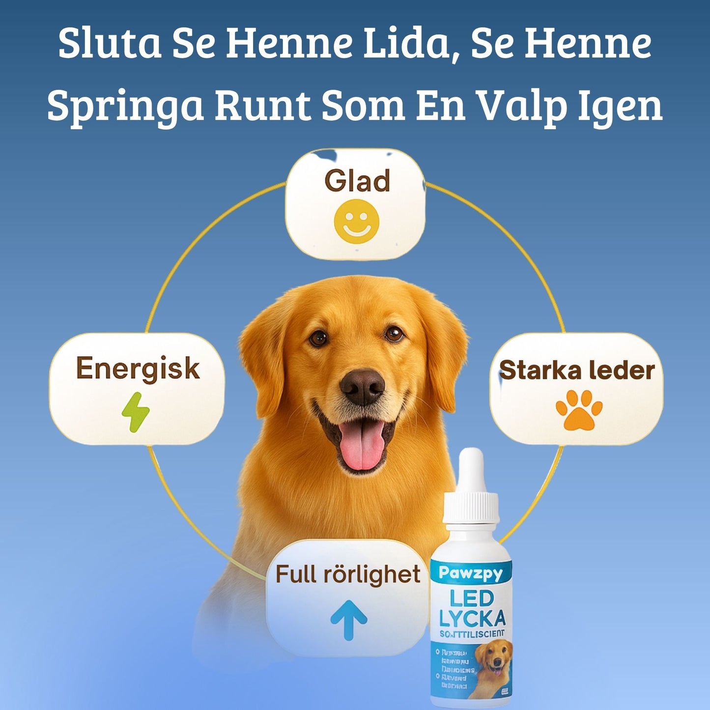 LedLycka™ - Få hennes livsglädje tillbaka