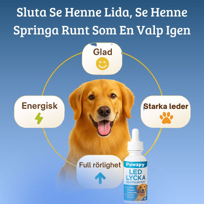 LedLycka™ - Få hennes livsglädje tillbaka