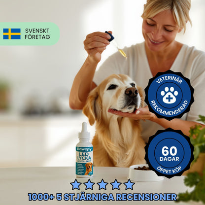 LedLycka™ - Få hennes livsglädje tillbaka