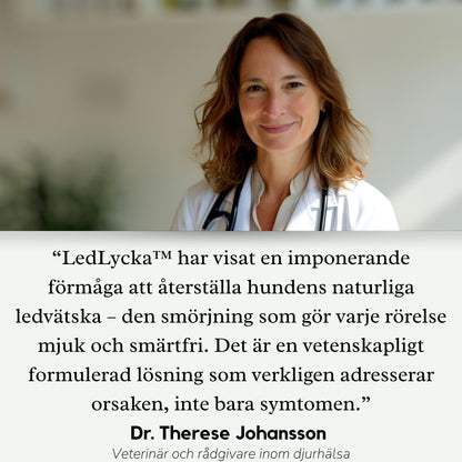 LedLycka™ - Få hennes livsglädje tillbaka