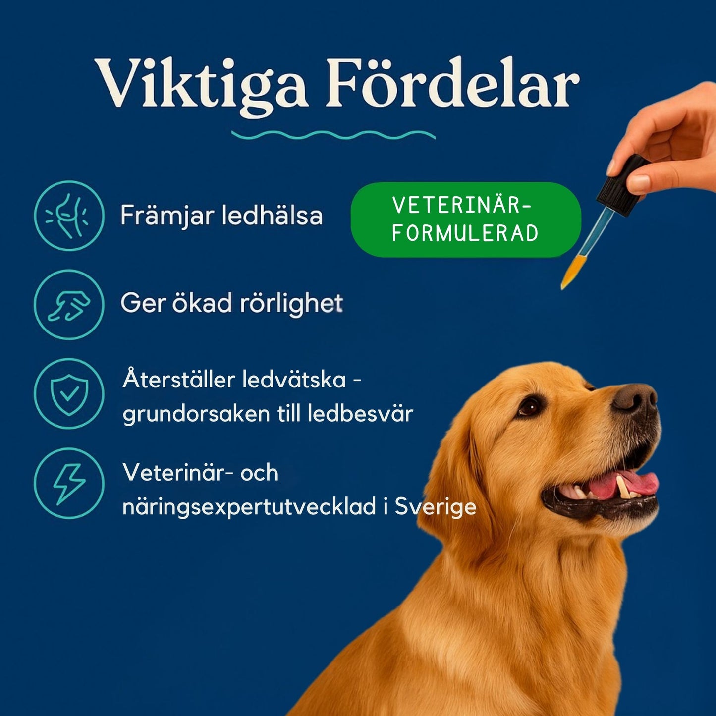 LedLycka™ - Få hennes livsglädje tillbaka