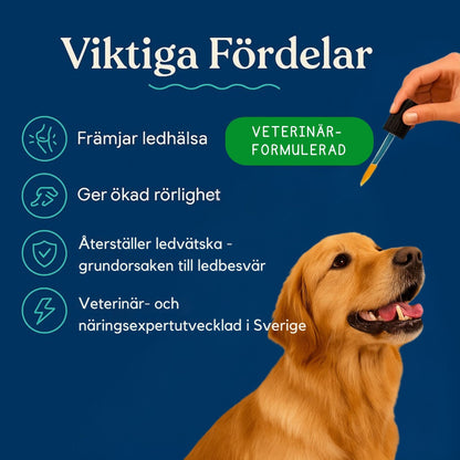 LedLycka™ - Få hennes livsglädje tillbaka