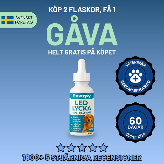 LedLycka™ - Få hennes livsglädje tillbaka